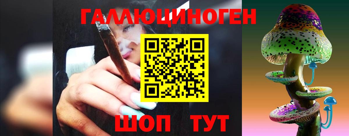 Кимры  Псилоцибиновые грибы Psilocybe  Вход с VPN 